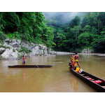 Панама 2022: Панама-Сити- Национальный парк Чагрес